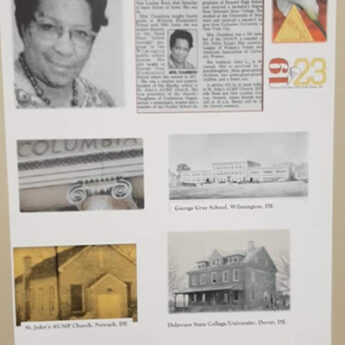 gallery-image8